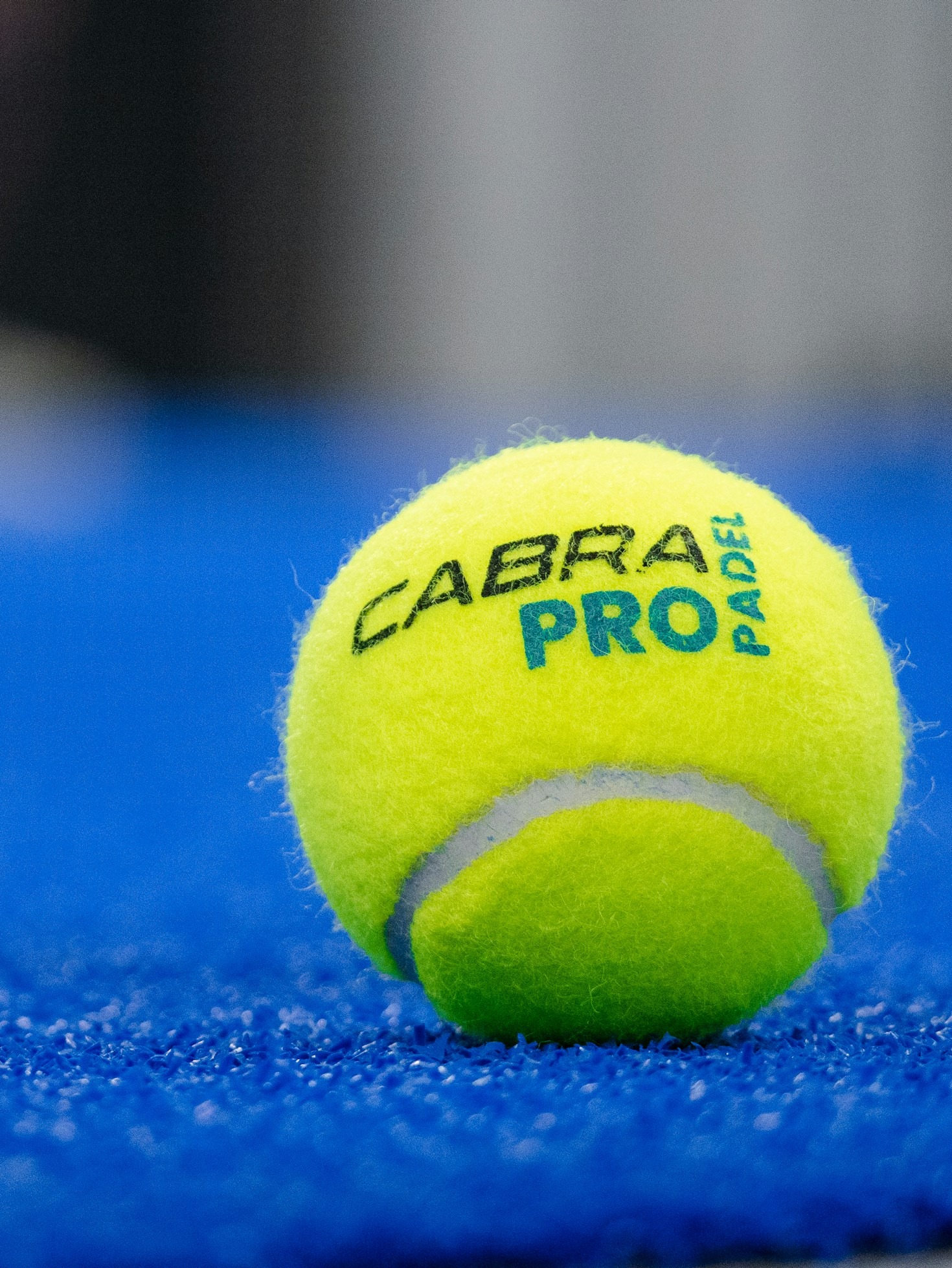 Padel in Deutschland: Ein Blick auf Trends